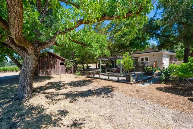 a view of a patio with chairs and a table and chairs under a large tree