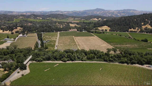 an aerial view of a house with a garden