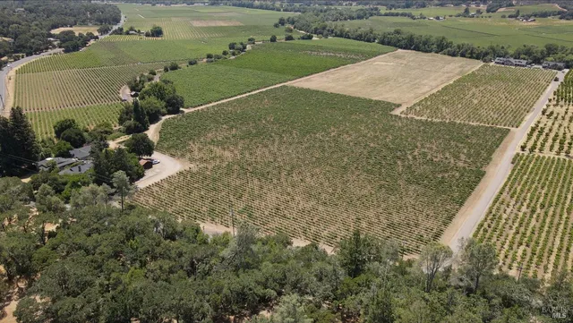 an aerial view of a house with a yard and lake view