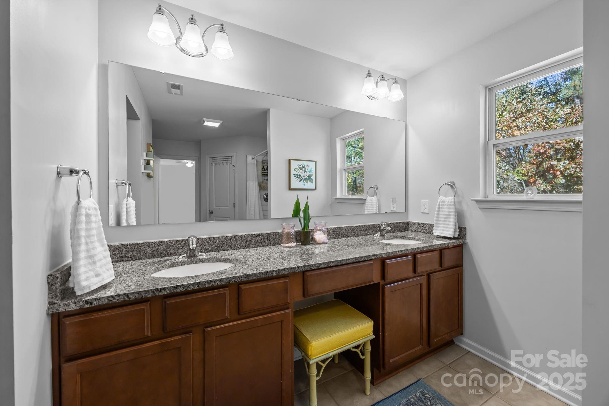 125 Devynn Ridge Court Mount Holly, NC 28120 - Photo 11 of 47 a bathroom with a granite countertop sink a large mirror and a window