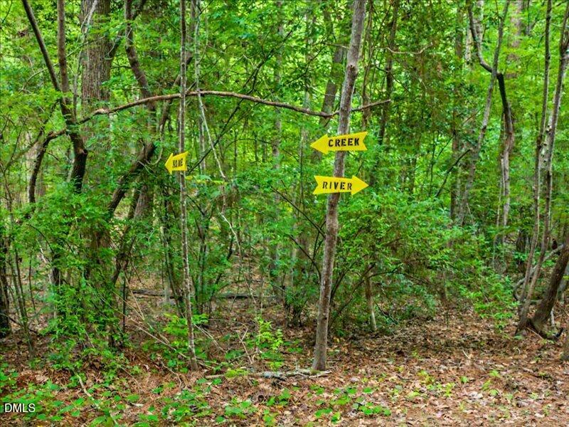 275 Mill Stone Road Moncure, NC 27559 - Photo 75 of 95