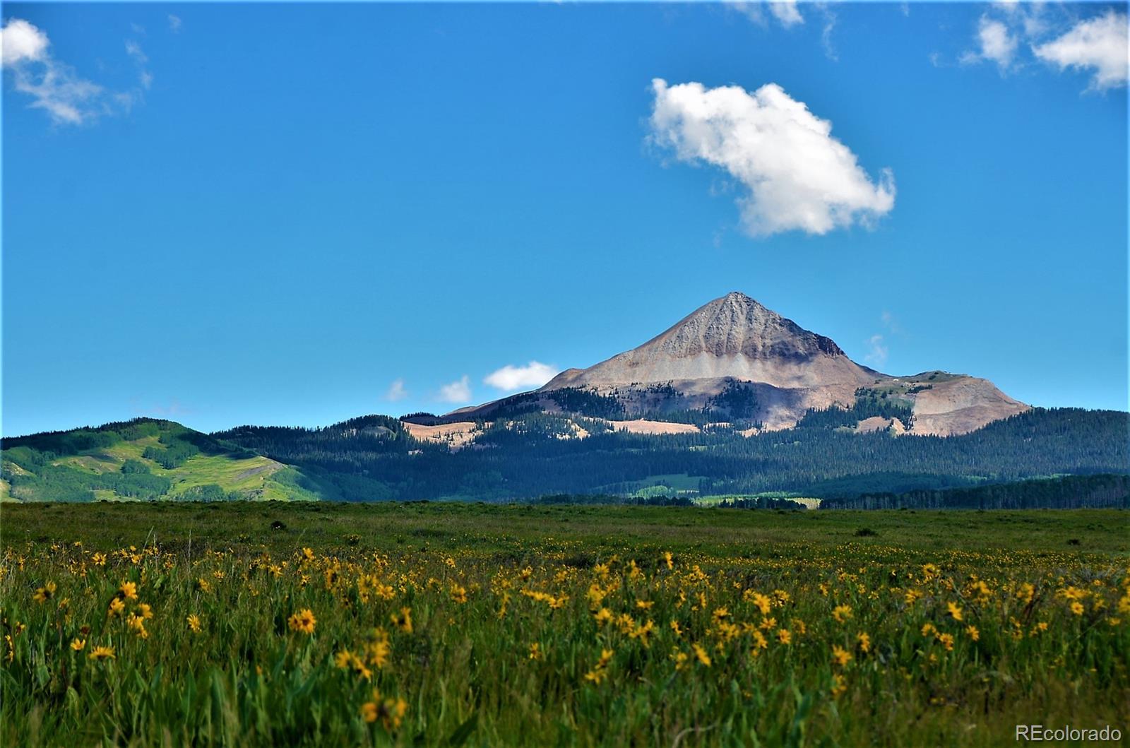41763 H Road Dolores, CO 81323 - Photo 12 of 32 a view of a house with a garden