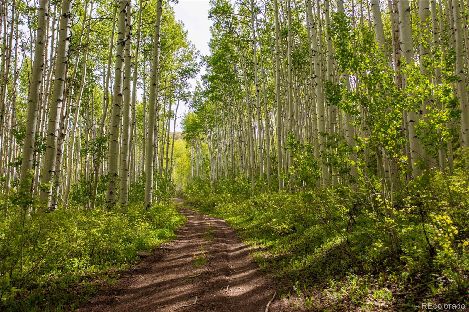 41763 H Road Dolores, CO 81323 - Photo 14 of 32 a view of a garden