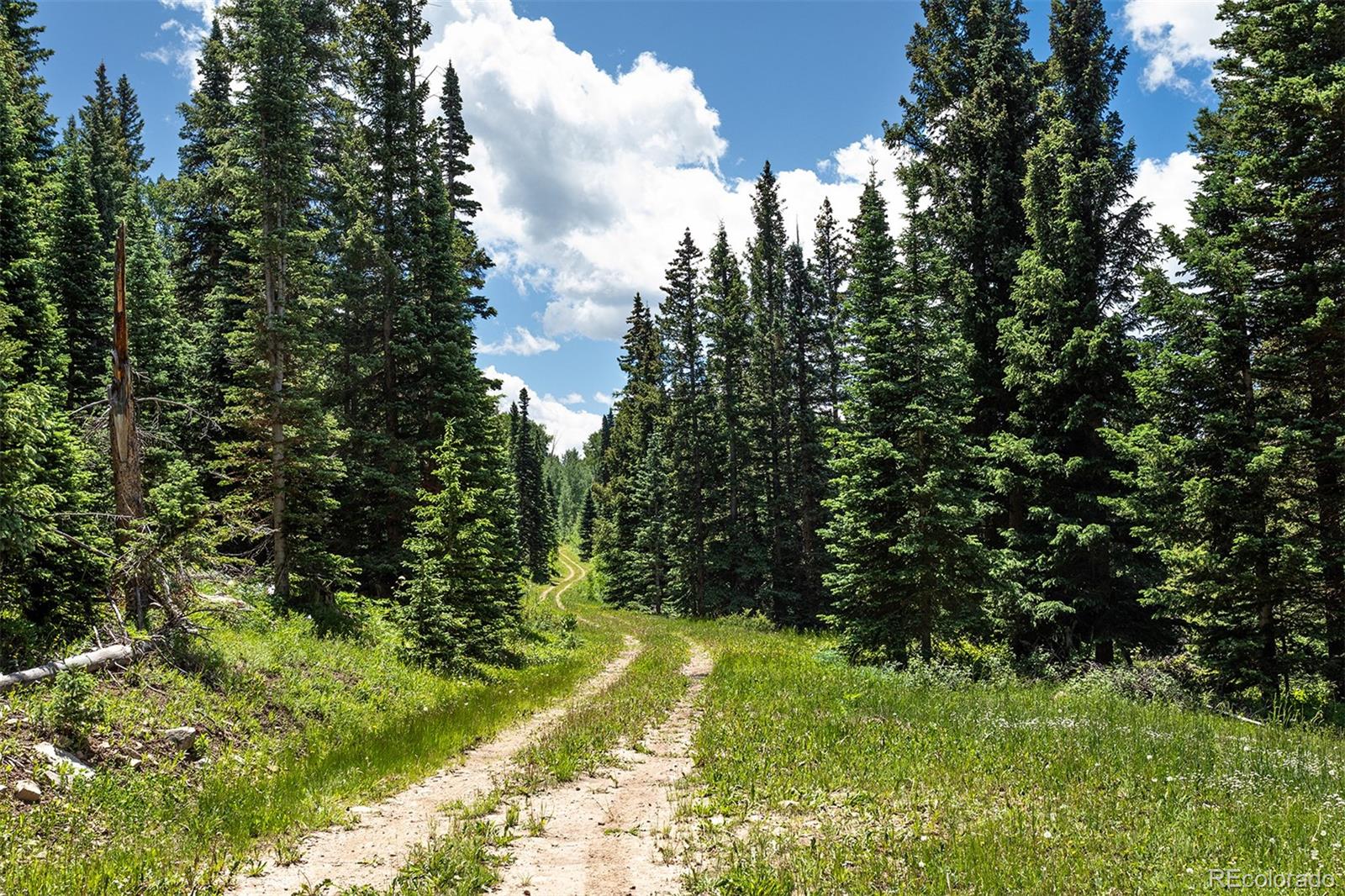 41763 H Road Dolores, CO 81323 - Photo 18 of 32 a view of a yard