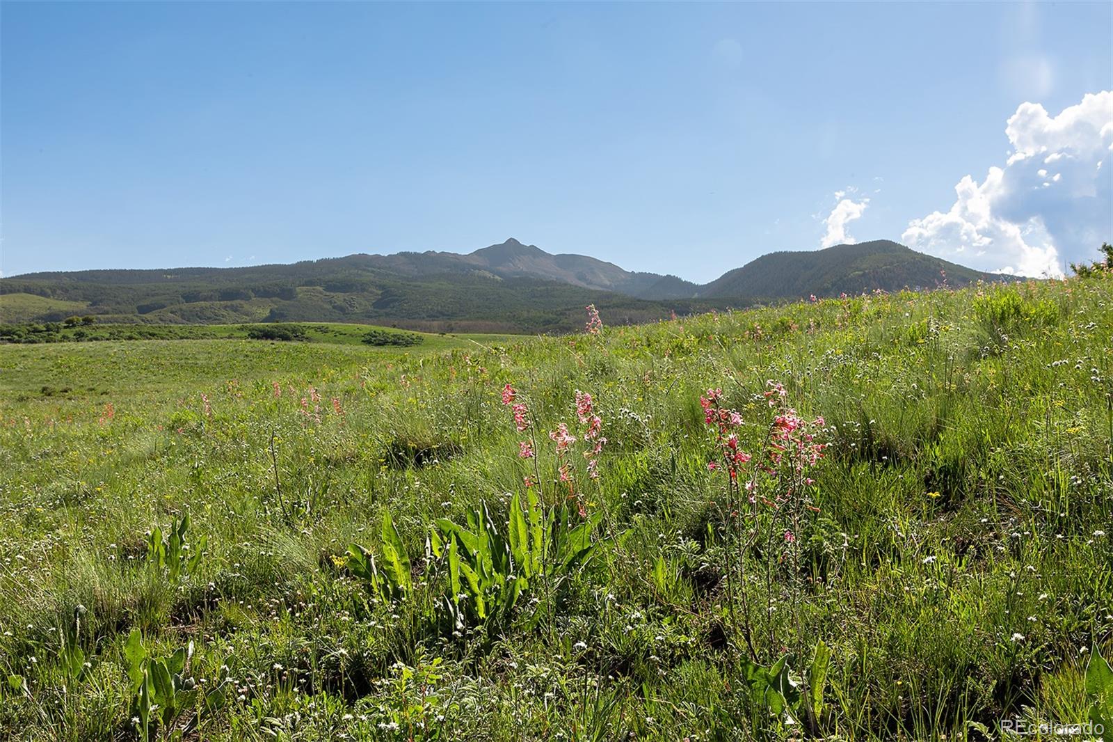 41763 H Road Dolores, CO 81323 - Photo 25 of 32 a view of a lush green forest with mountain