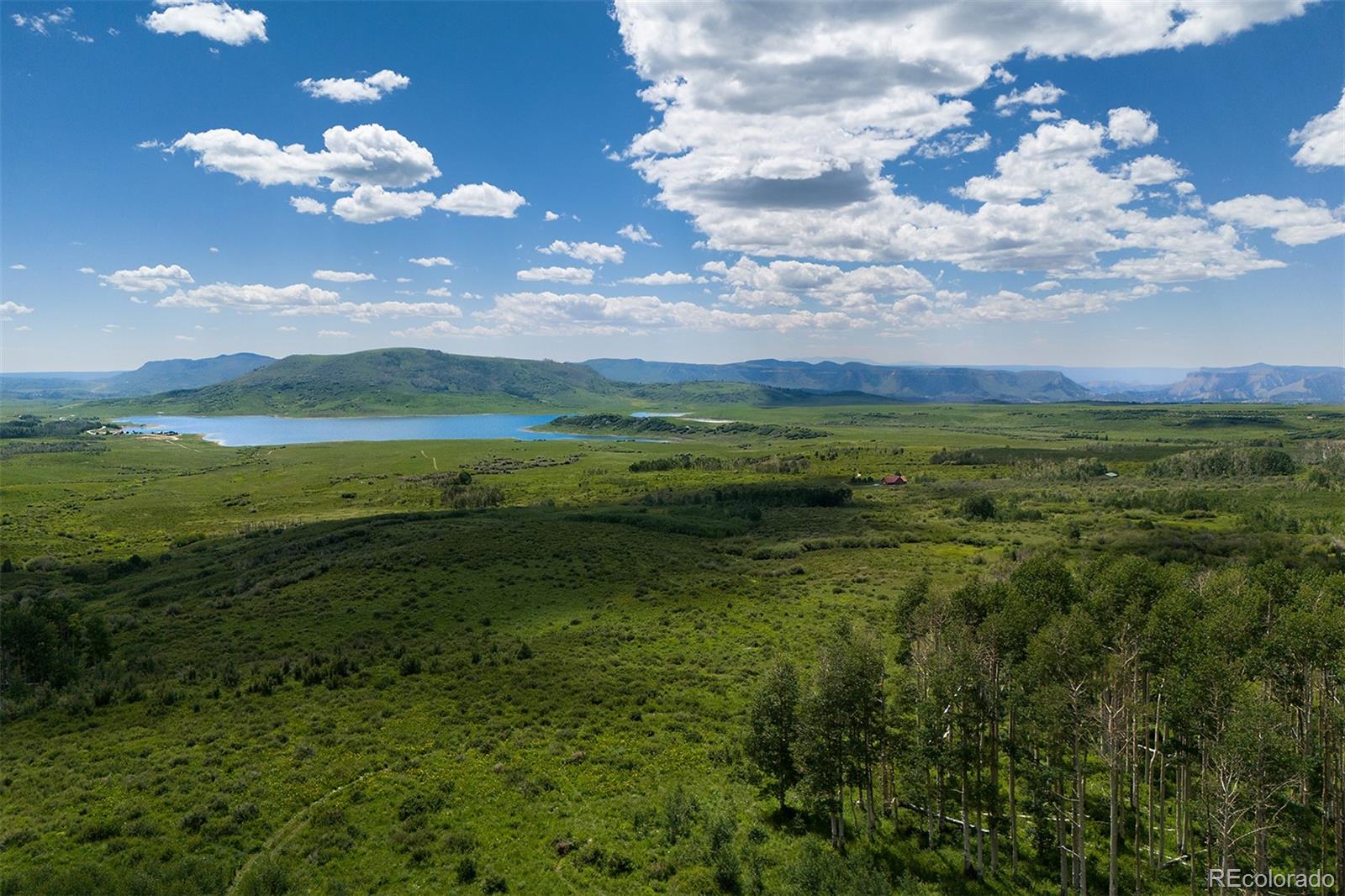 41763 H Road Dolores, CO 81323 - Photo 27 of 32 a view of a big yard with lots of bushes
