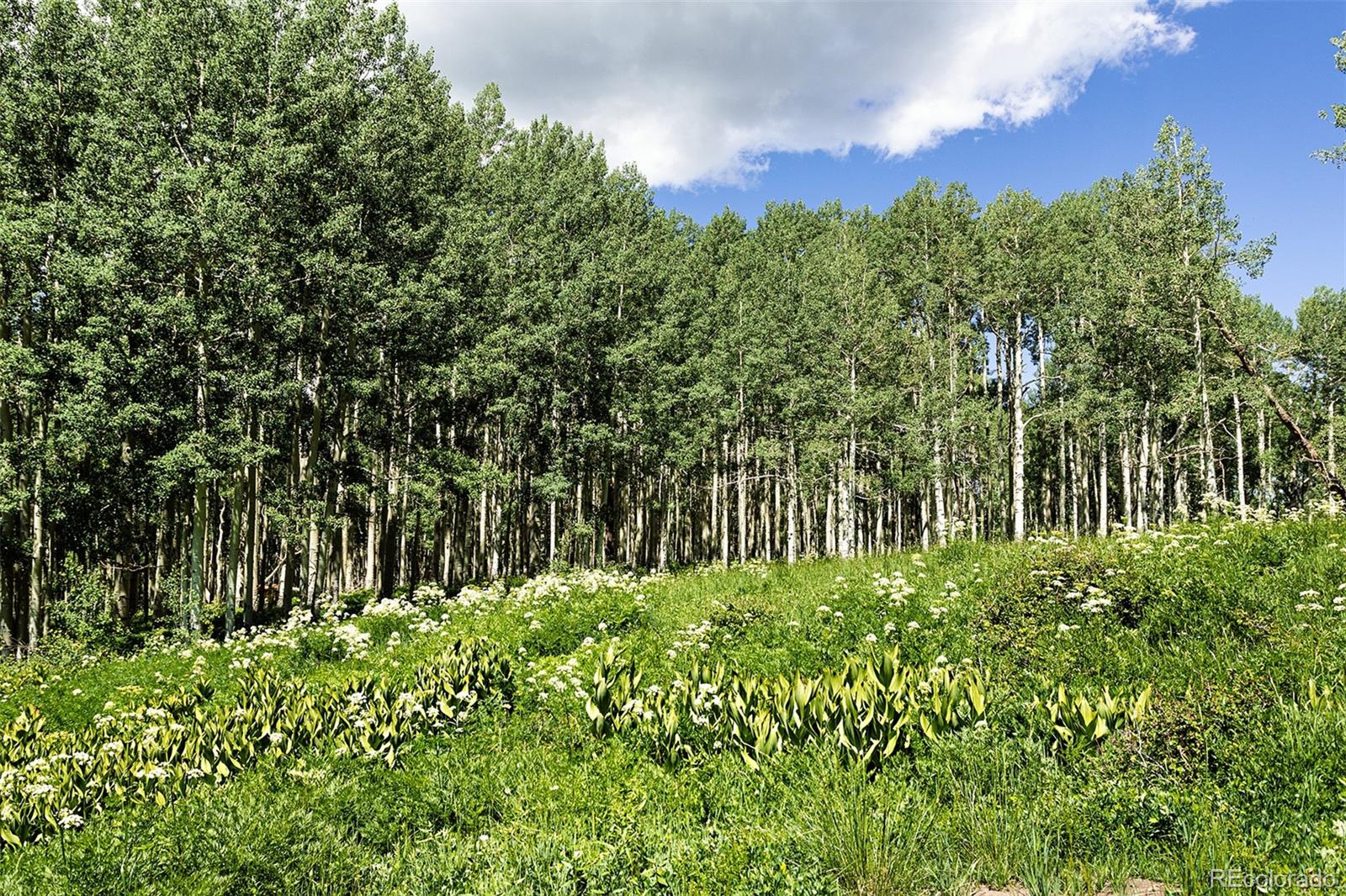 41763 H Road Dolores, CO 81323 - Photo 28 of 32 a view of a garden
