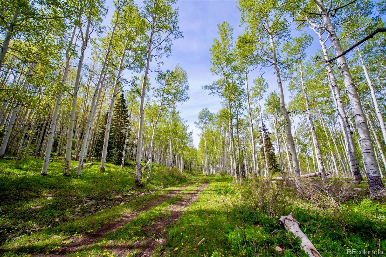 41763 H Road Dolores, CO 81323 - Photo 29 of 32 a view of outdoor space with a garden