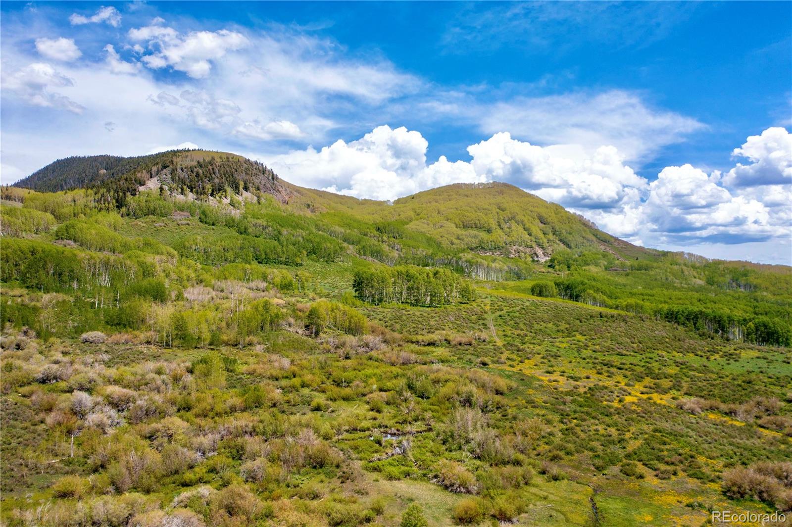 41763 H Road Dolores, CO 81323 - Photo 30 of 32 a view of a bunch of trees in the background