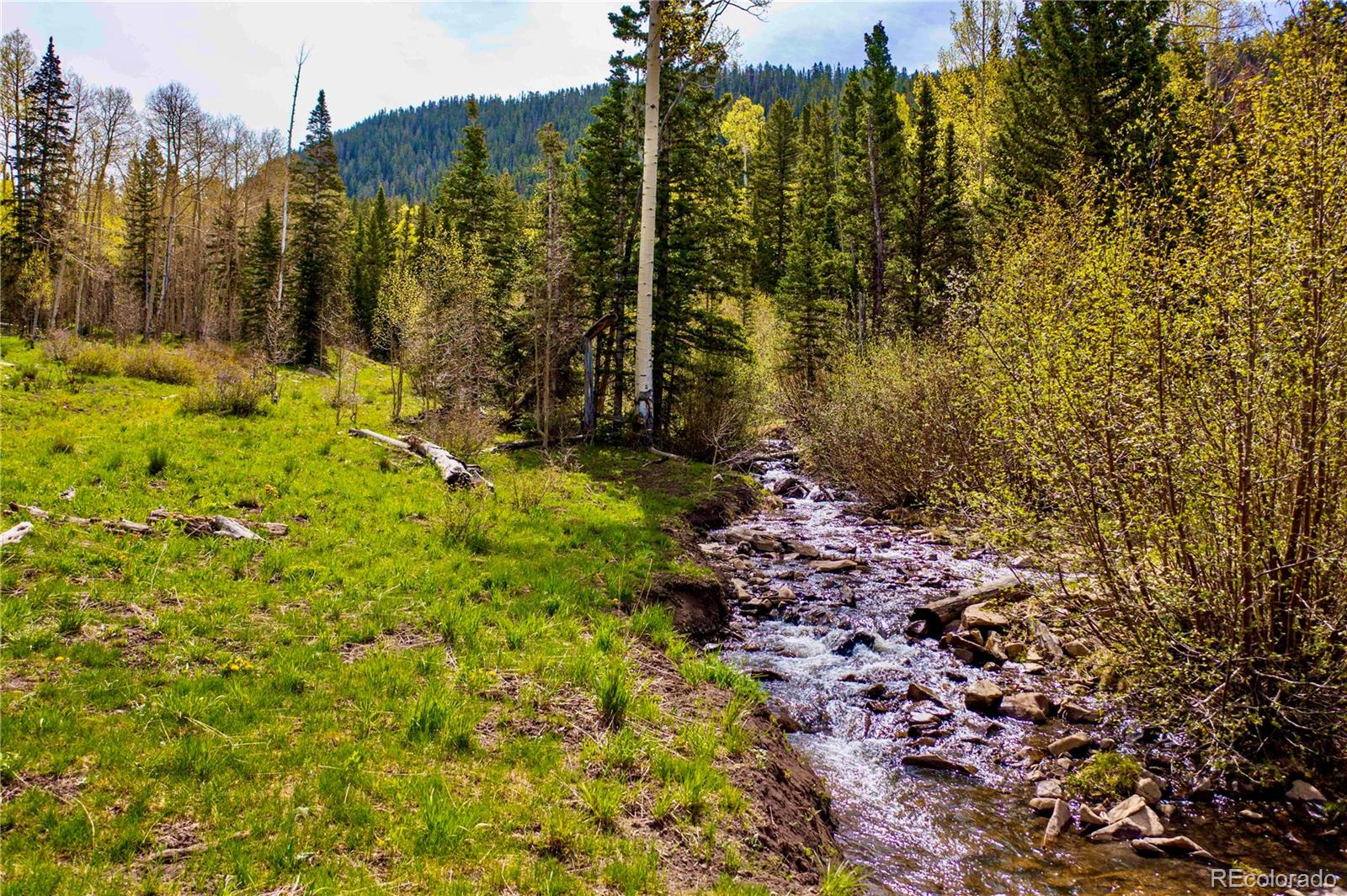 41763 H Road Dolores, CO 81323 - Photo 8 of 32 a view of outdoor space and yard
