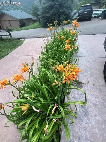 a view of swimming pool with a patio and a garden