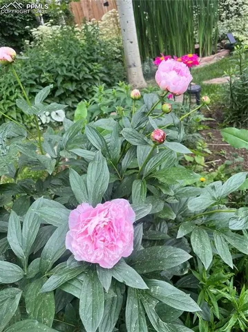 a picture of floor plan