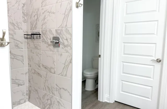 a bathroom with a shower and a toilet