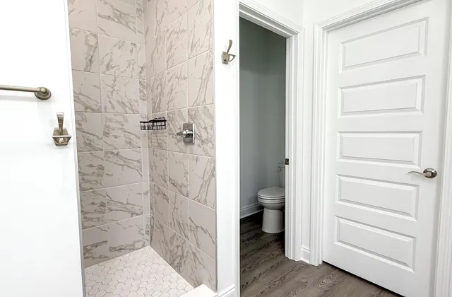 a bathroom with a shower and a toilet