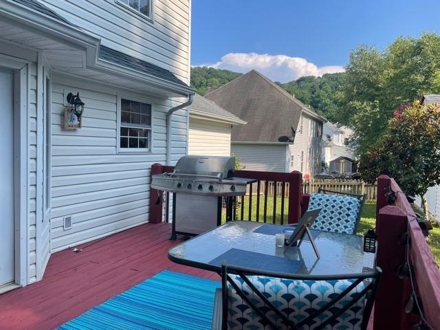 4007 Glaze Road Johnson City, TN 37601 - Photo 33 of 36 Back porch 3