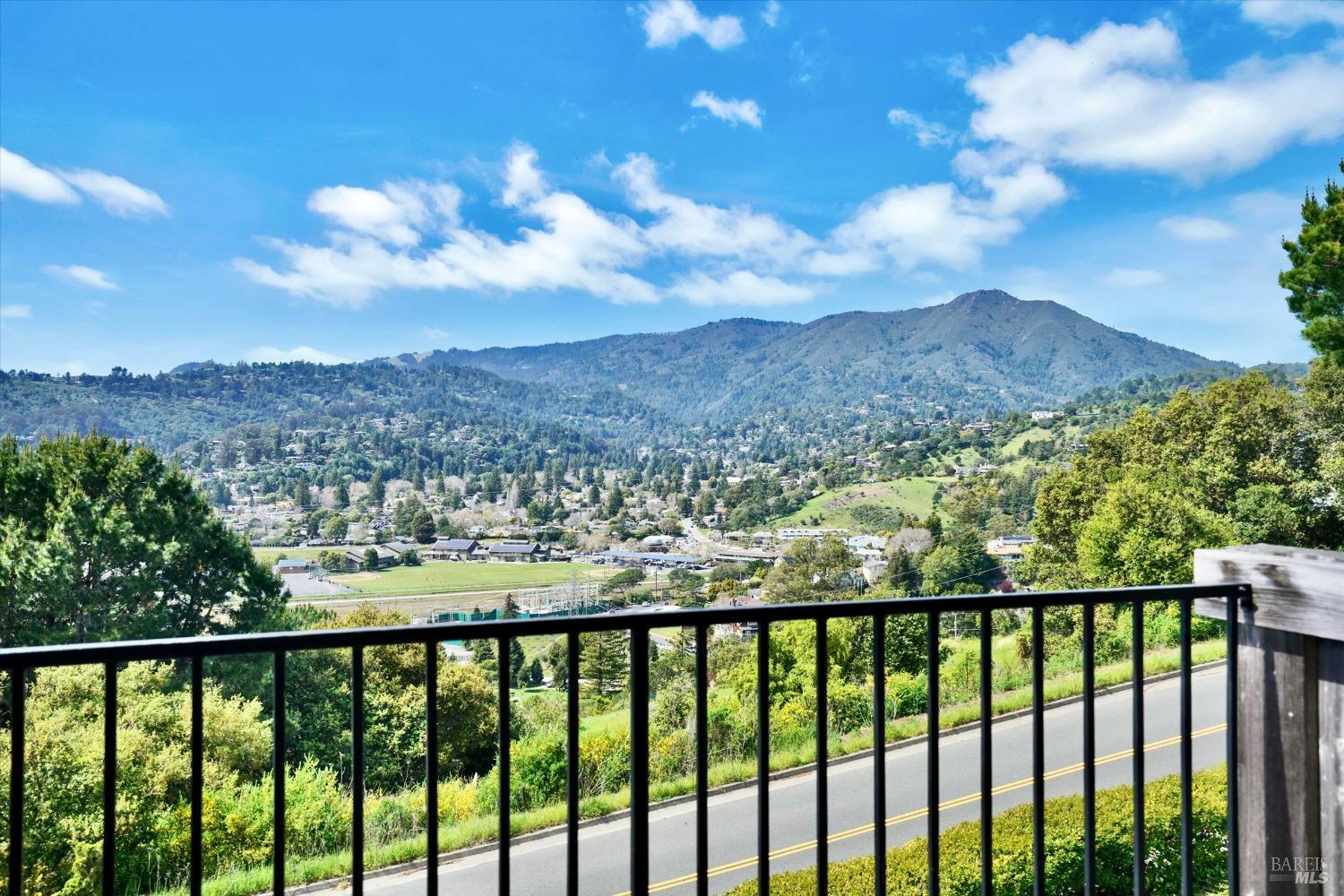 600 Seaver Drive Mill Valley, CA 94941 - Photo 16 of 30 a view of a city with lush green forest