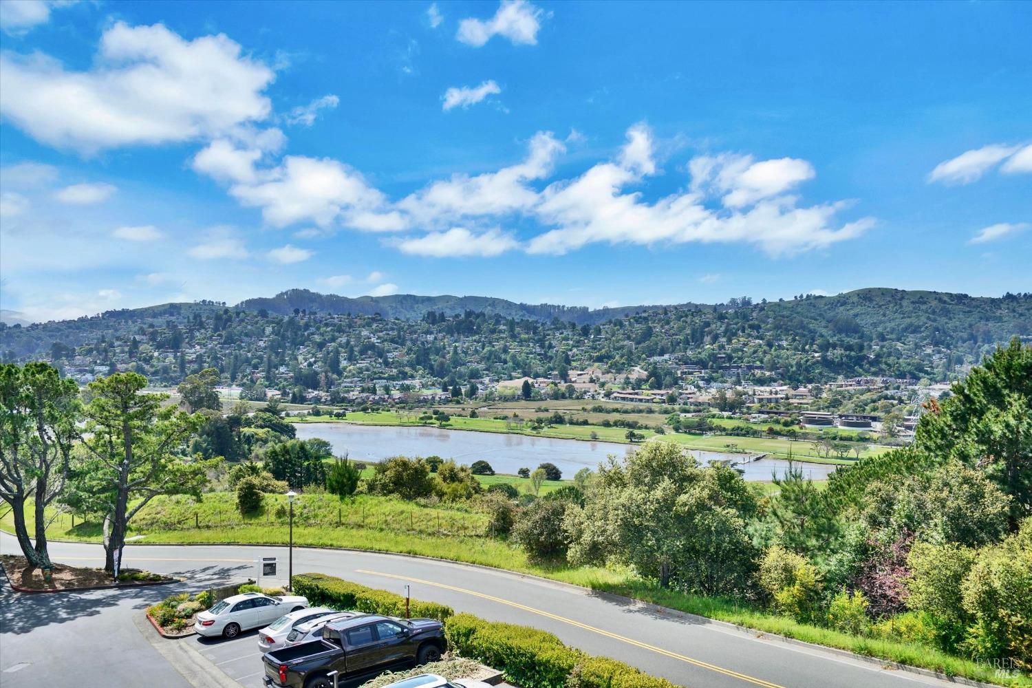 600 Seaver Drive Mill Valley, CA 94941 - Photo 17 of 30 a view of a city with lots of trees