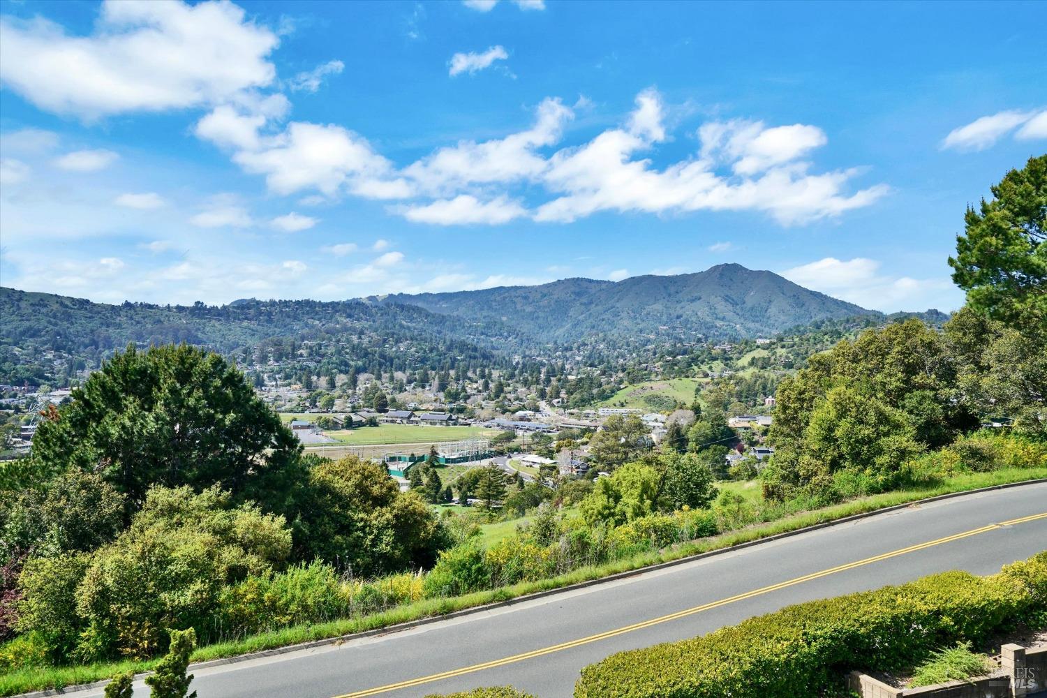 600 Seaver Drive Mill Valley, CA 94941 - Photo 30 of 30 a view of a city with lush green forest