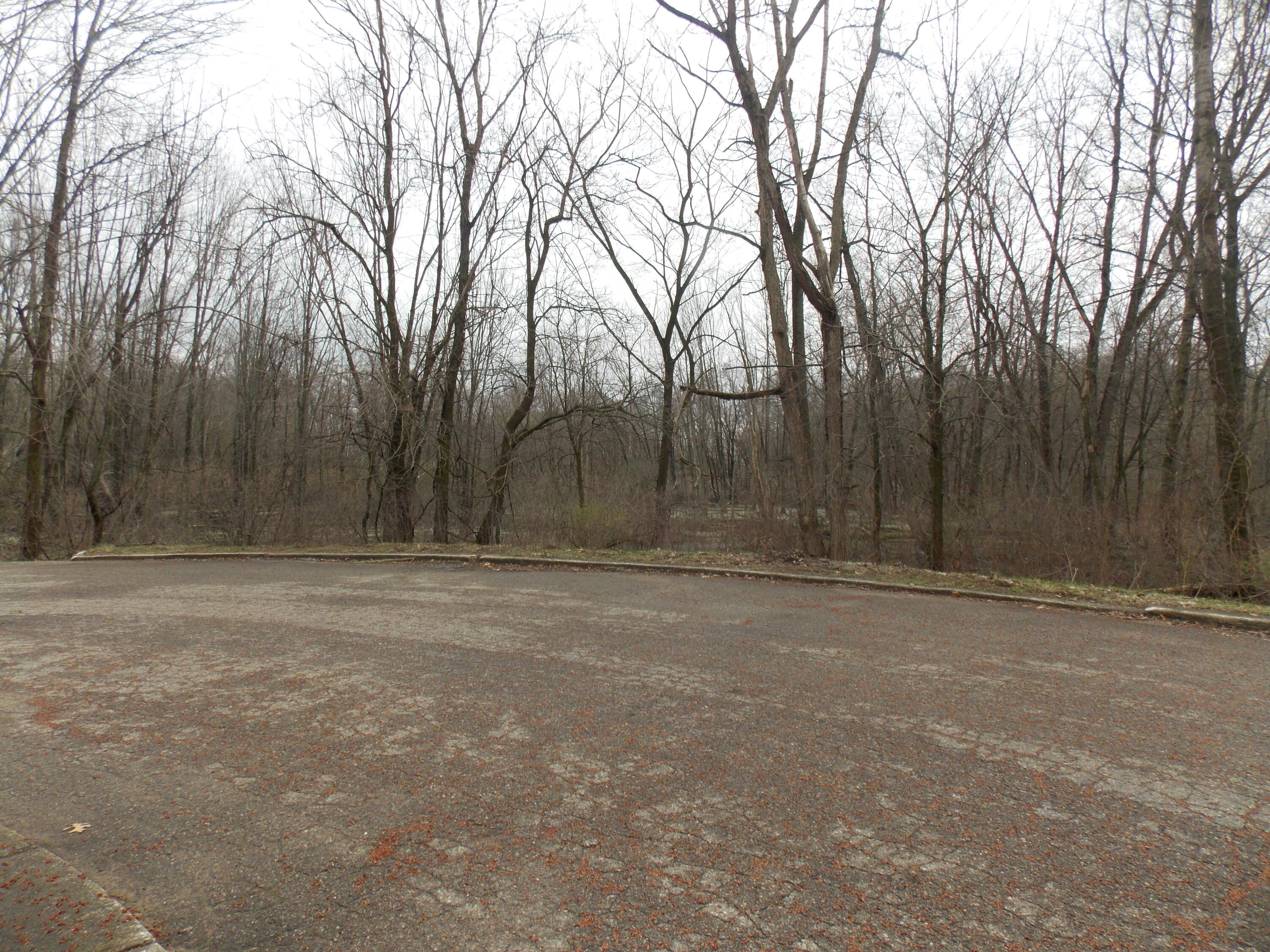 69205 Garver Road, Unit 58 Edwardsburg, MI 49112 - Photo 11 of 12 DSCN5181