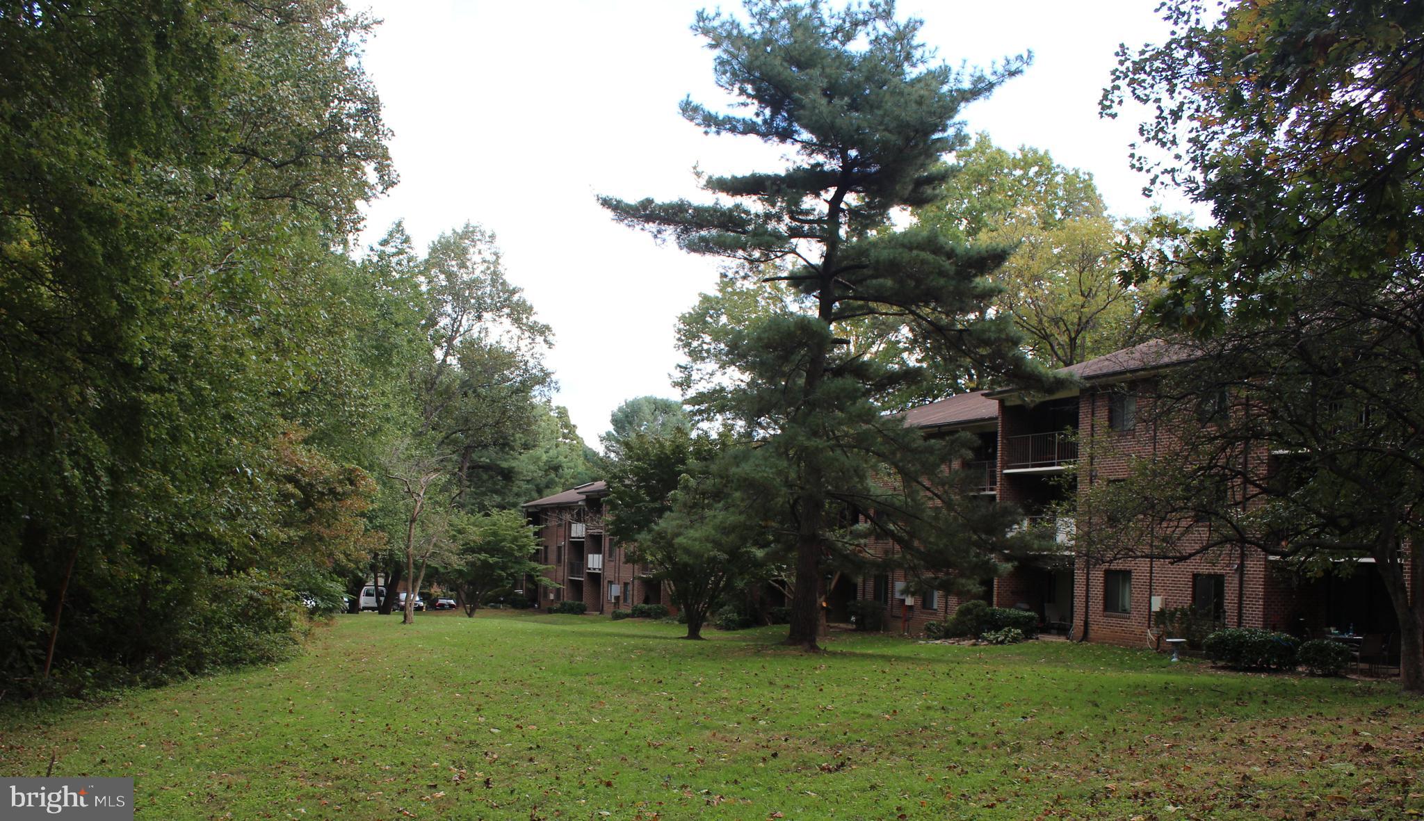 1434 Northgate Square, Unit 34/21B Reston, VA 20190 - Photo 27 of 44 a view of a tree in front of a brick house with a big yard