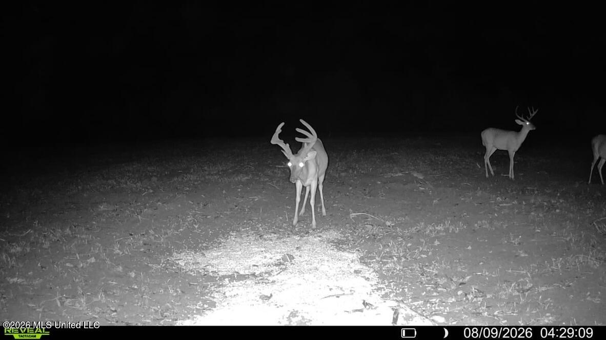 1 Chapel Hill Road Utica, MS 39175 - Photo 59 of 107 149ABB9A-E382-449B-9053-3E9F92F1789C_1_1