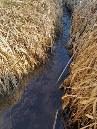 $114,900 | 35/61 Bloomington Wi 53804, Bloomington, WI 53804