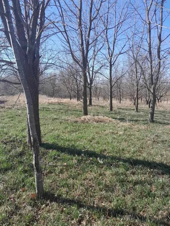 $114,900 | 35/61 Bloomington Wi 53804, Bloomington, WI 53804