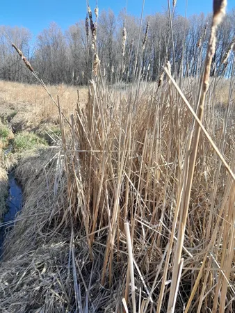 $114,900 | 35/61 Bloomington Wi 53804, Bloomington, WI 53804