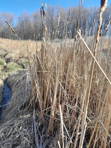 $114,900 | 35/61 Bloomington Wi 53804, Bloomington, WI 53804