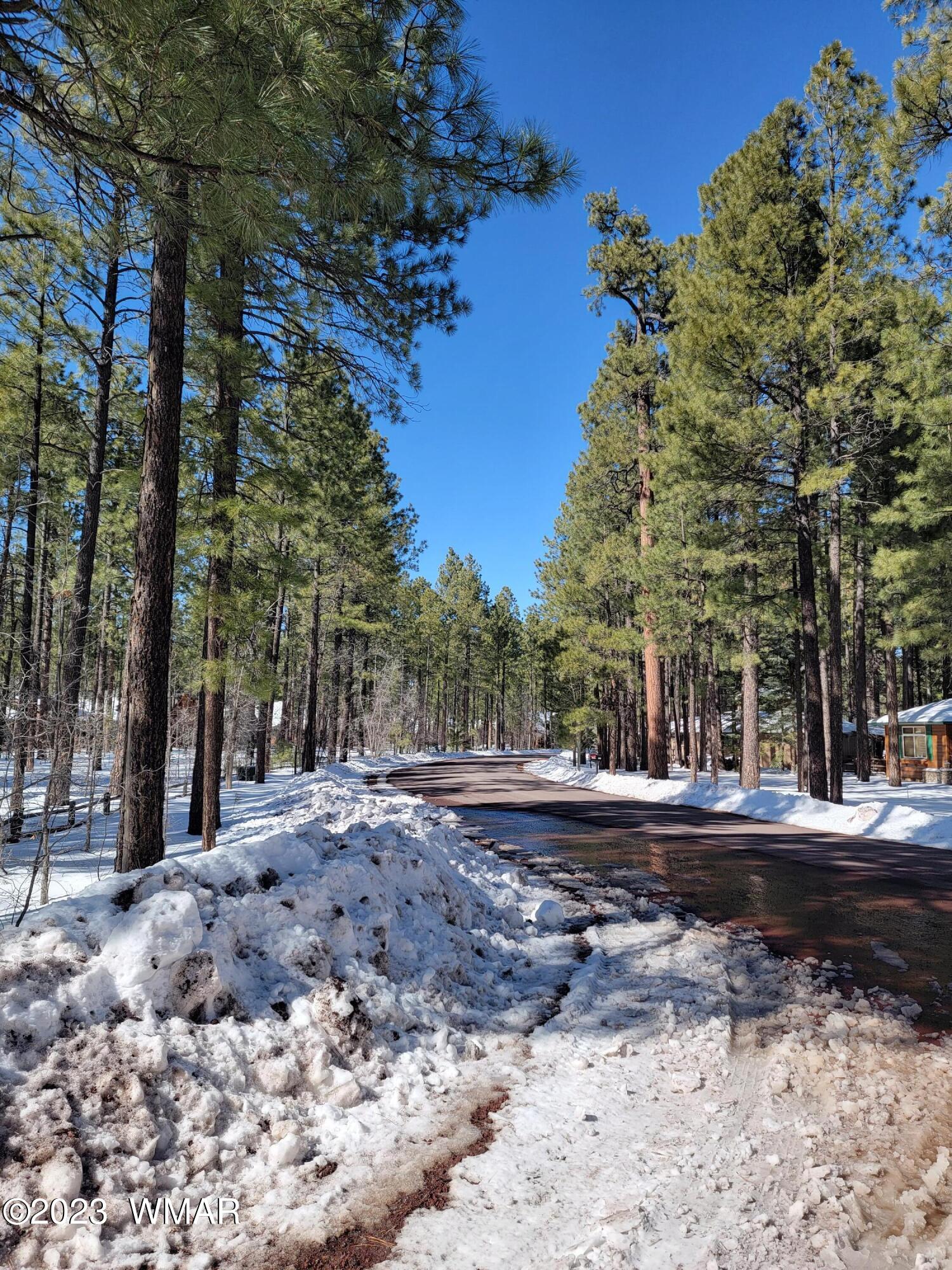 Tbd Deep Forest Drive Pinetop, AZ 85935 - Photo 1 of 4