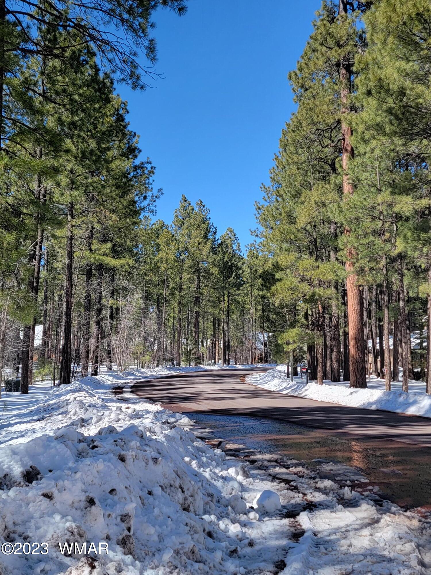 Tbd Deep Forest Drive Pinetop, AZ 85935 - Photo 2 of 4