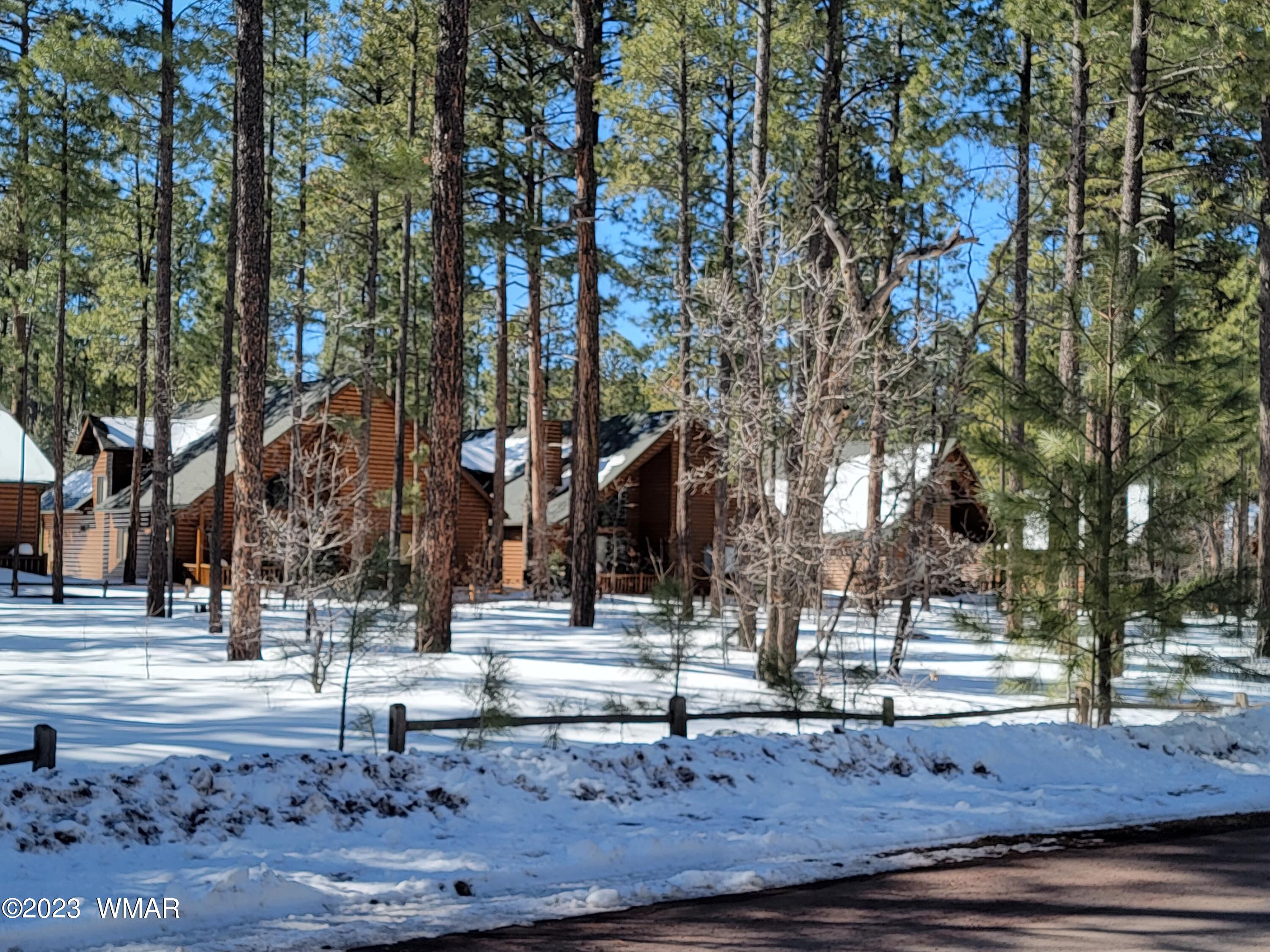 Tbd Deep Forest Drive Pinetop, AZ 85935 - Photo 3 of 4
