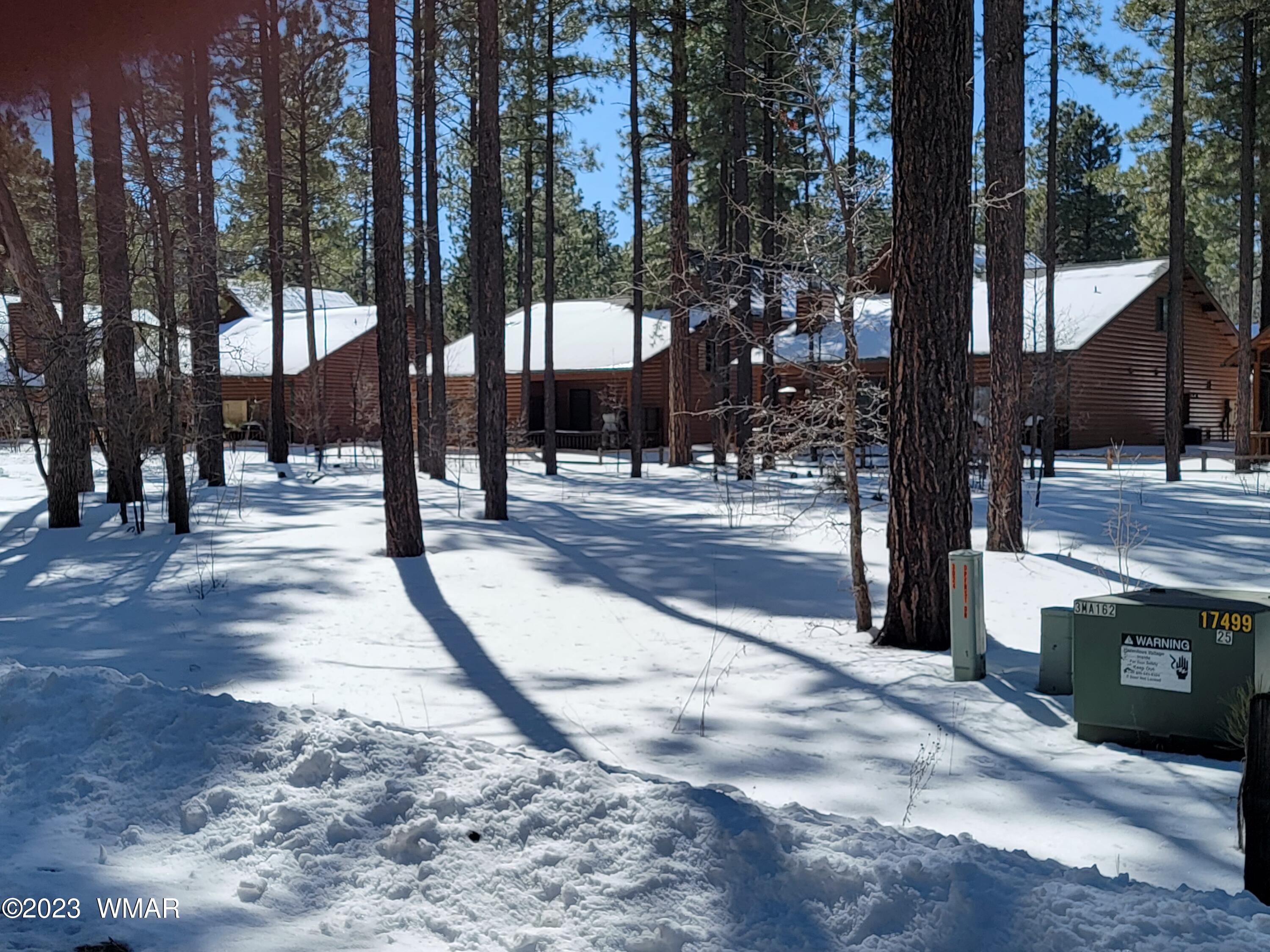 Tbd Deep Forest Drive Pinetop, AZ 85935 - Photo 4 of 4