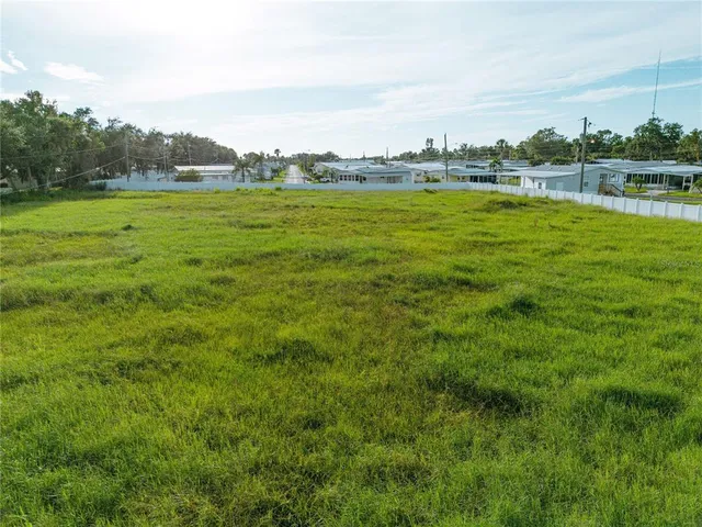 a view of a park with large trees and a houses