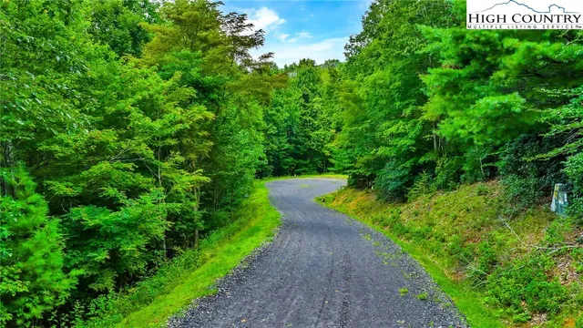 a view of a yard with plants