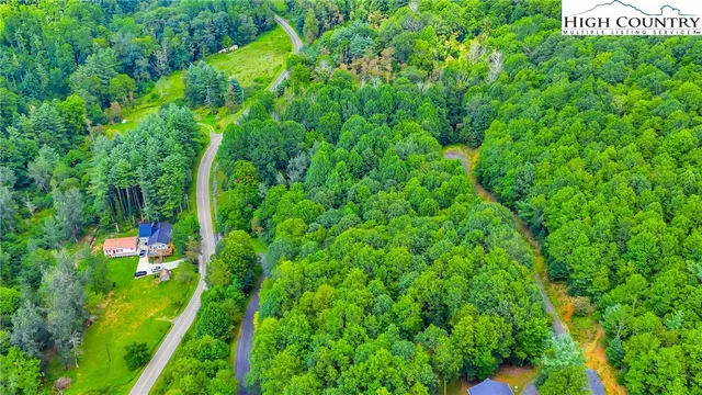 a view of a garden with a tree