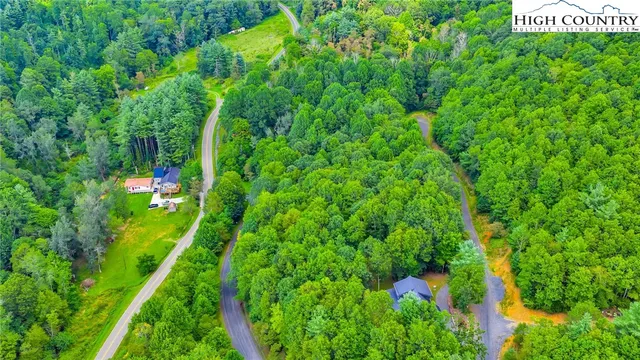 a view of a garden with plants