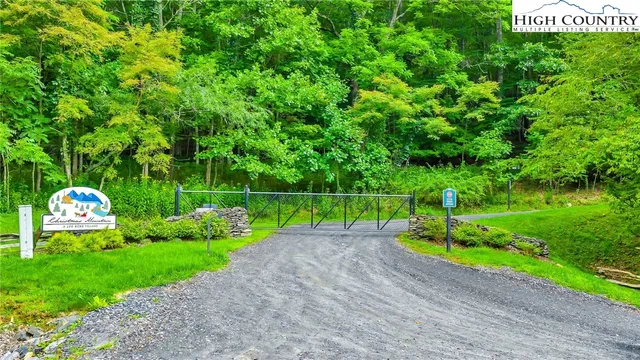 a view of a garden with plants