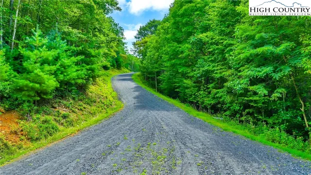 a view of a garden with plants