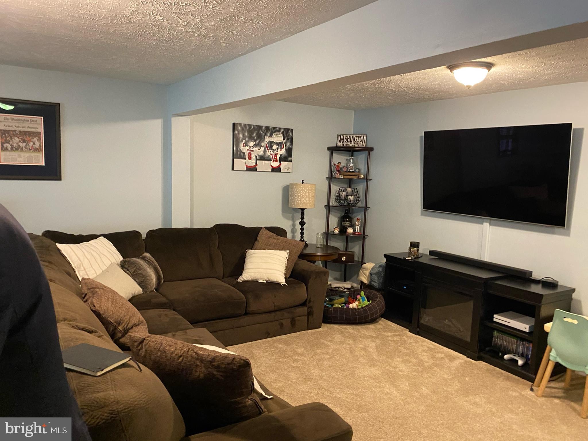 1507 Autumn Ridge Circle Reston, VA 20194 - Photo 4 of 6 Finished lower level Rec room