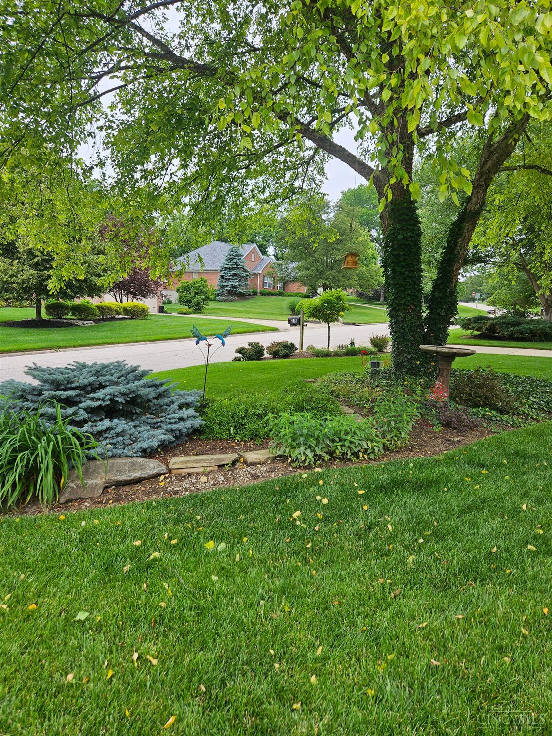 536 Hopper Hill Farm Road Cincinnati, OH 45255 - Photo 8 of 56 Gallery Image 8