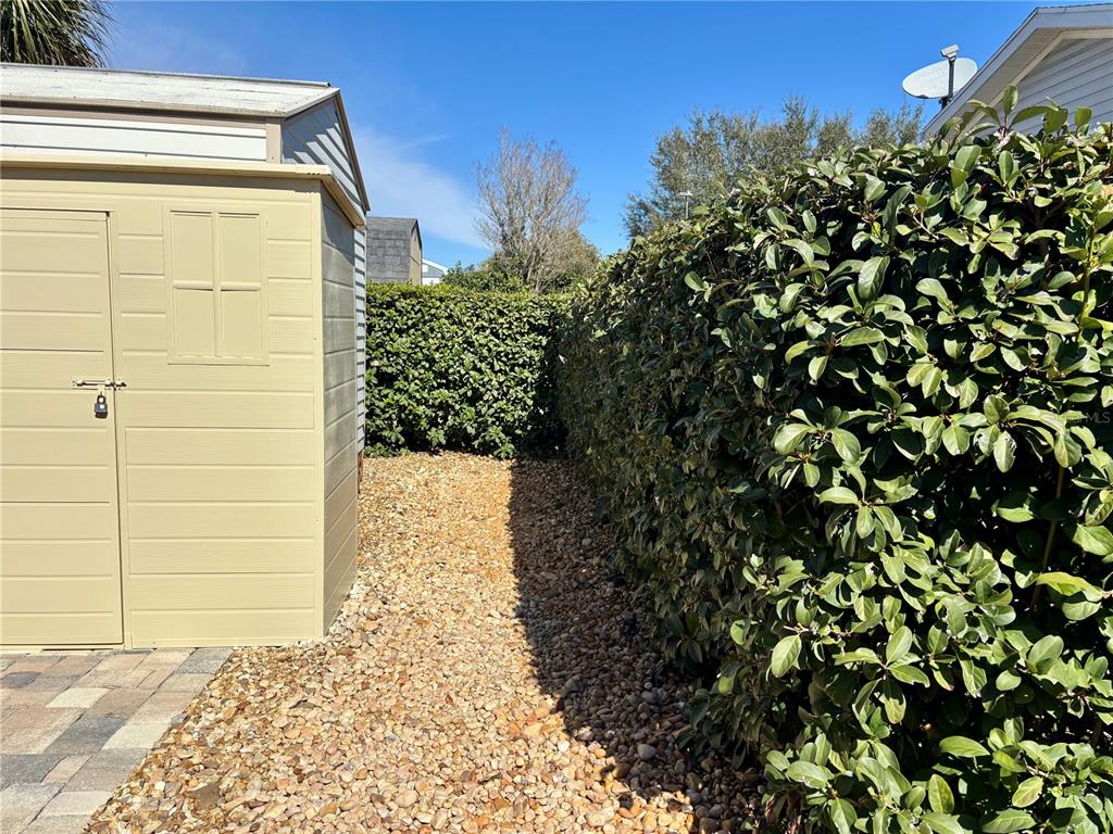 3047 Northeast 102nd Ave Road Silver Springs, FL 34488 - Photo 11 of 87 a view of a yard