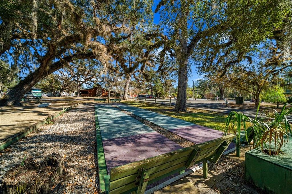 3047 Northeast 102nd Ave Road Silver Springs, FL 34488 - Photo 50 of 87 a view of yard with patio