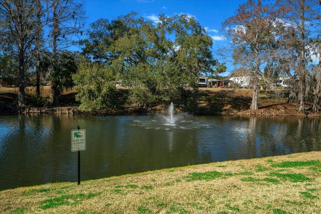 3047 Northeast 102nd Ave Road Silver Springs, FL 34488 - Photo 58 of 87 a view of a lake