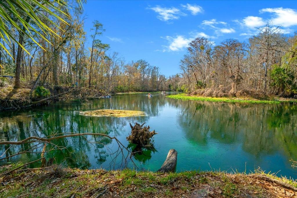 3047 Northeast 102nd Ave Road Silver Springs, FL 34488 - Photo 63 of 87