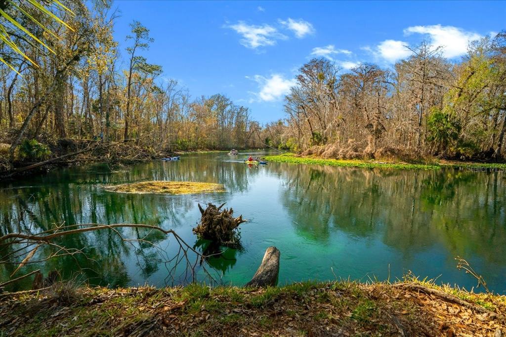 3047 Northeast 102nd Ave Road Silver Springs, FL 34488 - Photo 64 of 87