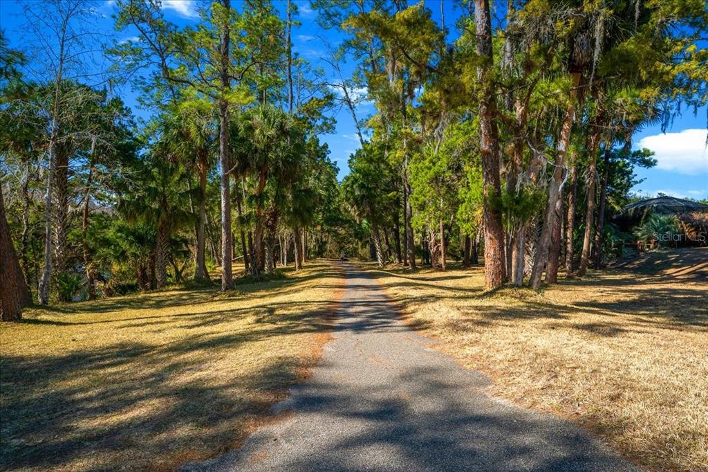3047 Northeast 102nd Ave Road Silver Springs, FL 34488 - Photo 65 of 87