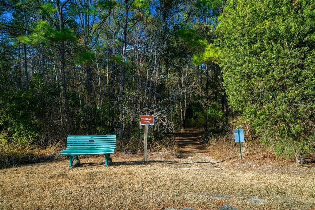 3047 Northeast 102nd Ave Road Silver Springs, FL 34488 - Photo 66 of 87 a view of a bench in a garden