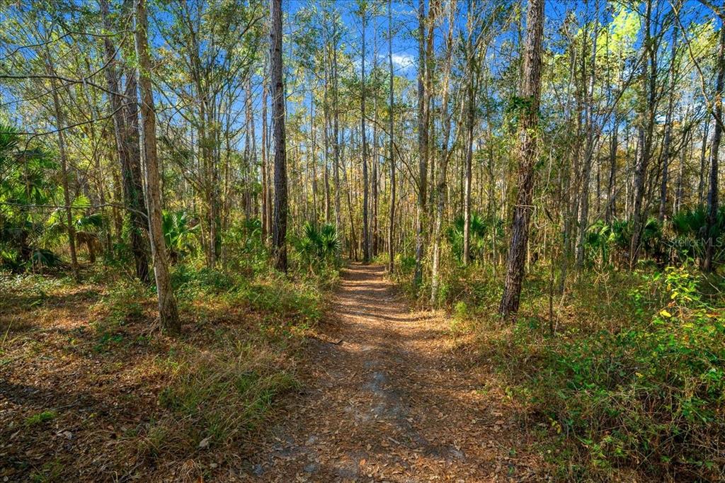3047 Northeast 102nd Ave Road Silver Springs, FL 34488 - Photo 67 of 87 a view of outdoor space and yard