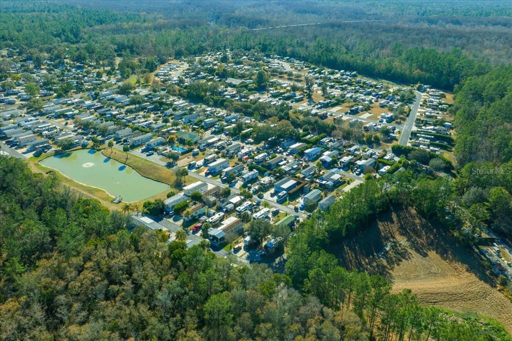 3047 Northeast 102nd Ave Road Silver Springs, FL 34488 - Photo 73 of 87 a view of a lush green forest